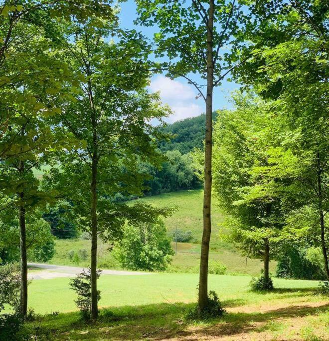 فيلا Foxtail Orchards - The Fox Den Tazewell المظهر الخارجي الصورة