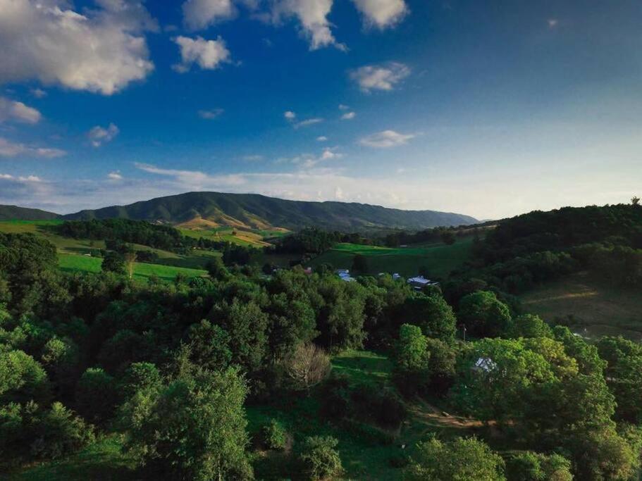 فيلا Foxtail Orchards - The Fox Den Tazewell المظهر الخارجي الصورة